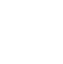 Silo Pharma, Inc. Share Price
